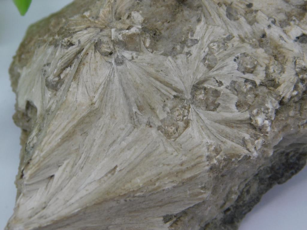 Rock Stone Lapidary Specimen - 2