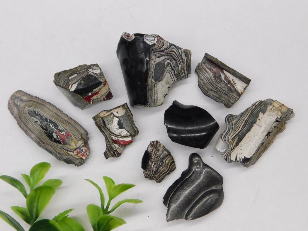 Fordite Motor City Agate Rock Stone Lapidary Specimen: Fordite Motor City Agate Rock Stone Lapidary Specimen