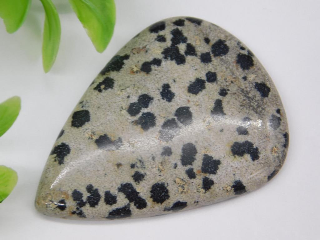 Dalmatian Jasper Cabochon - 2