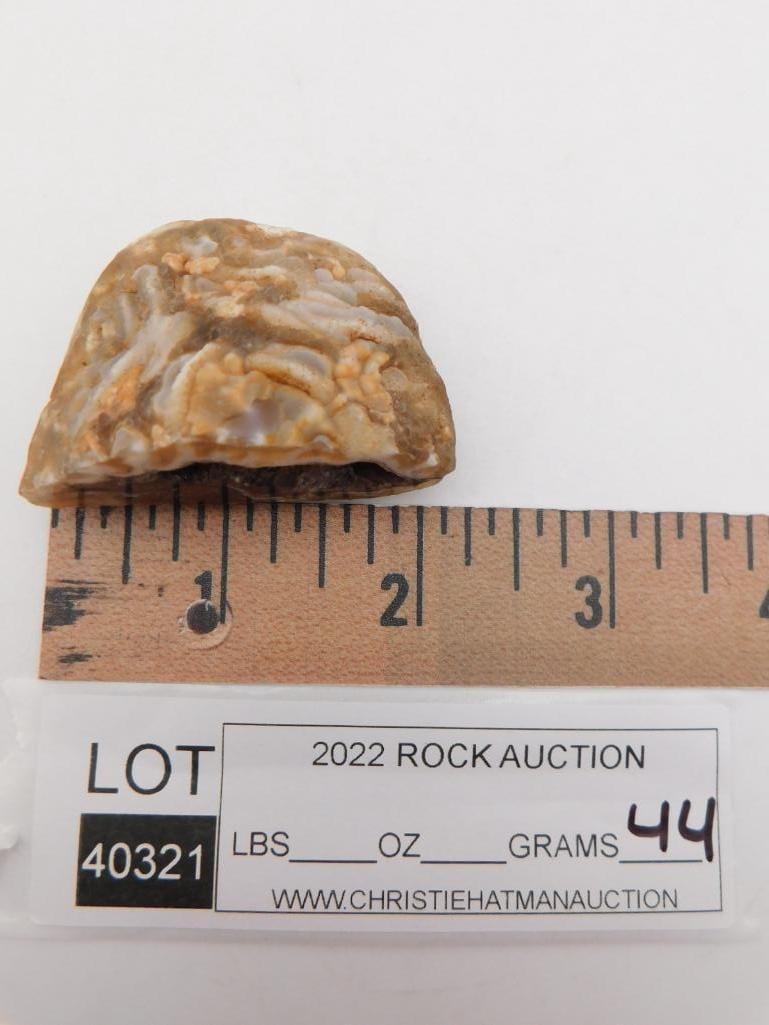 GEODE ROCK STONE LAPIDARY SPECIMEN - 2