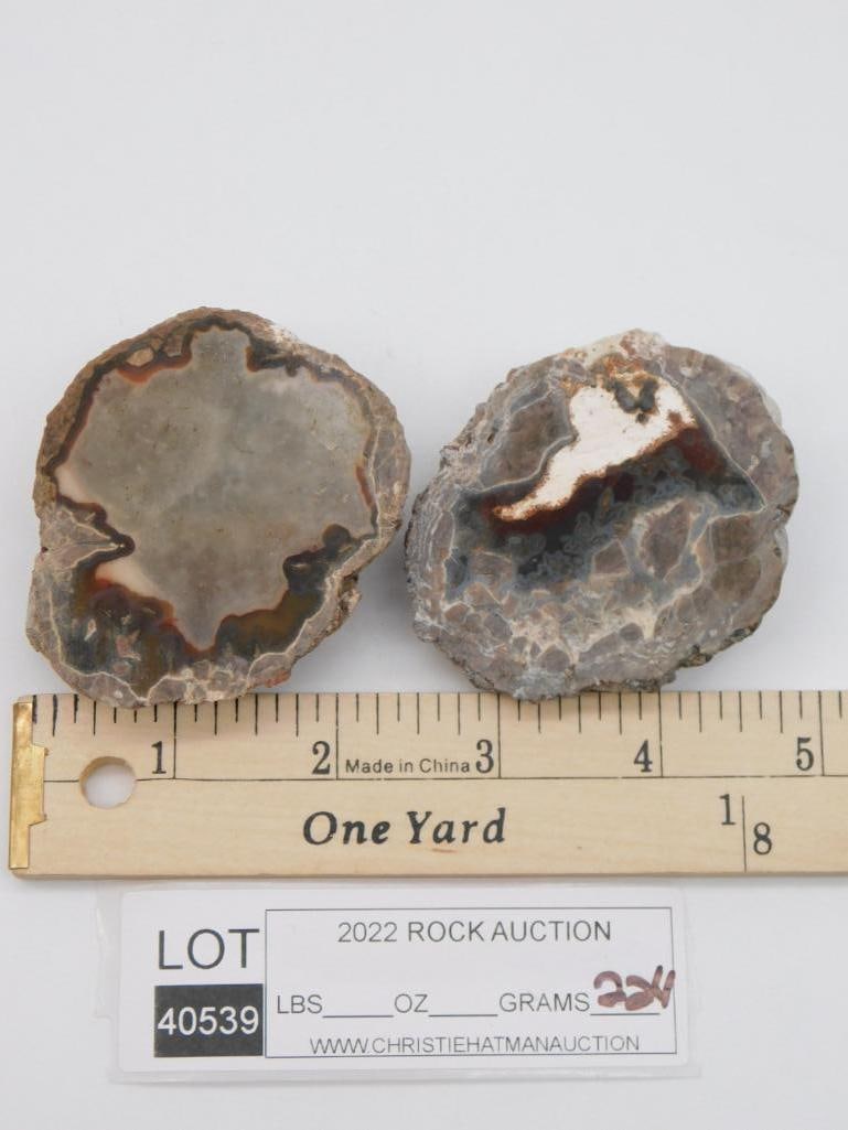 AGATE ROCK STONE LAPIDARY SPECIMEN - 2