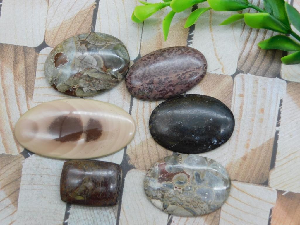 CABOCHONS ROCK STONE LAPIDARY SPECIMEN: CABOCHONS ROCK STONE LAPIDARY SPECIMEN