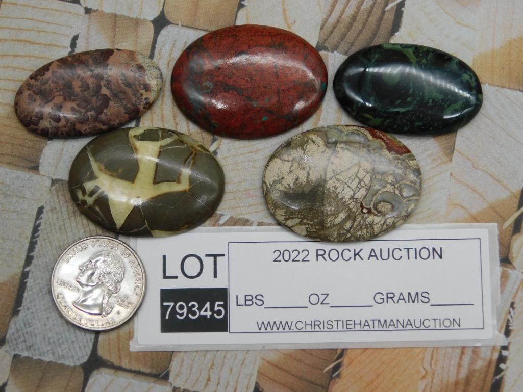 CABOCHONS ROCK STONE LAPIDARY SPECIMEN - 2