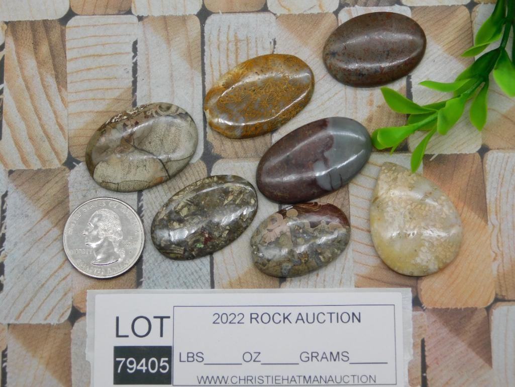 CABOCHONS ROCK STONE LAPIDARY SPECIMEN - 2