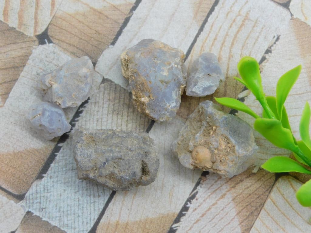 ELLENSBURG AGATE ROCK STONE LAPIDARY SPECIMEN: ELLENSBURG AGATE ROCK STONE LAPIDARY SPECIMEN