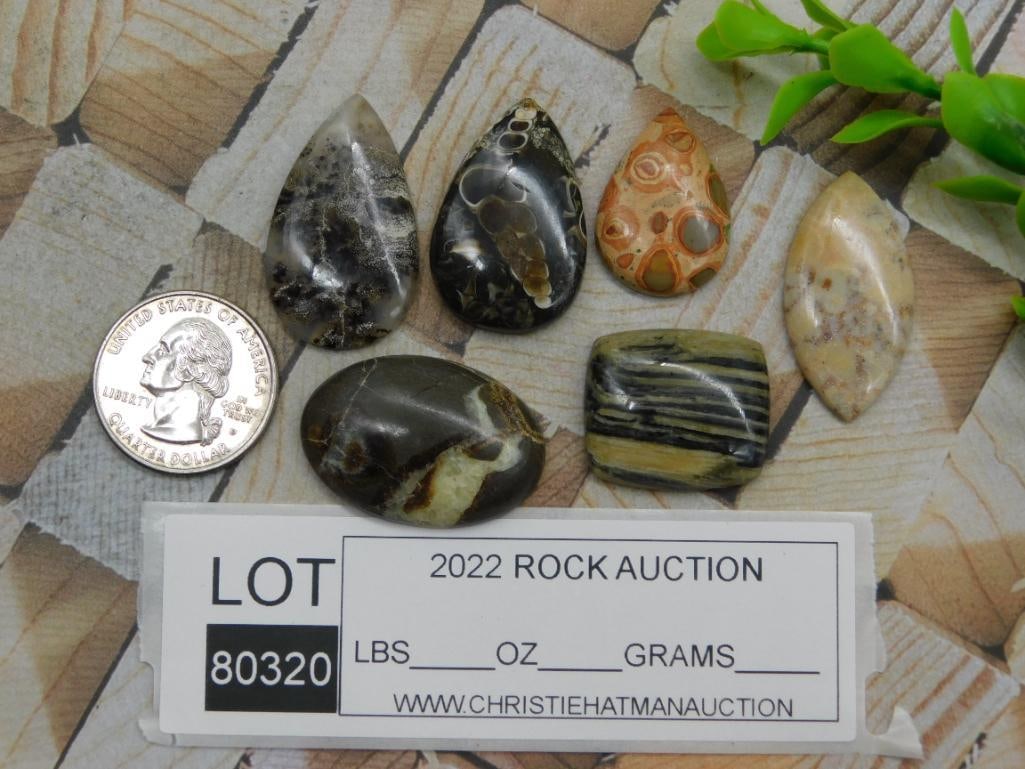 CABOCHONS ROCK STONE LAPIDARY SPECIMEN - 2