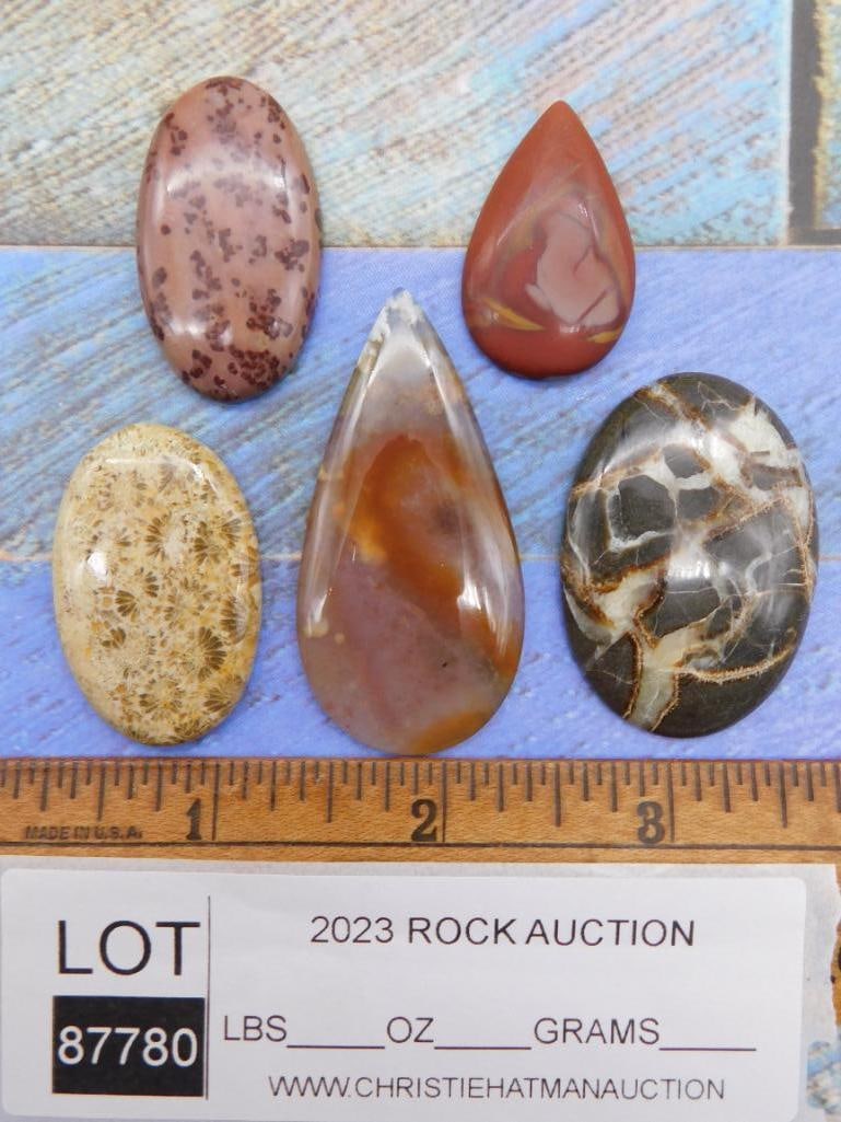 CABOCHONS ROCK STONE LAPIDARY SPECIMEN - 2
