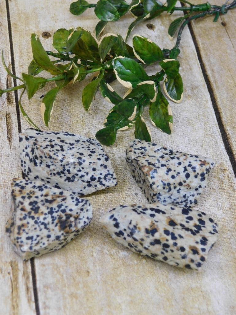 DALMATION JASPER ROCK STONE LAPIDARY SPECIMEN: DALMATION JASPER ROCK STONE LAPIDARY SPECIMEN