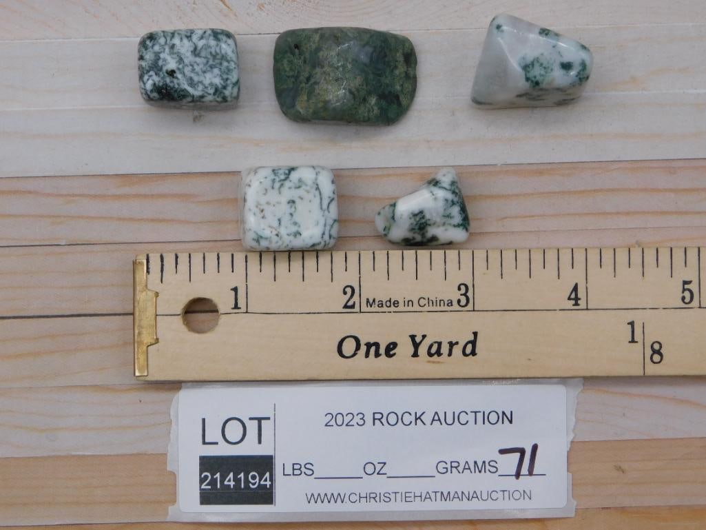 TREE AGATE ROCK STONE LAPIDARY SPECIMEN - 2