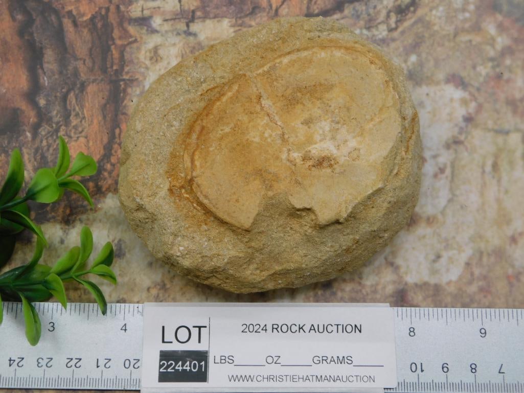 ROCK STONE LAPIDARY SPECIMEN - 2