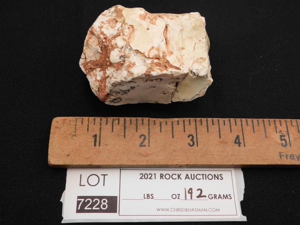 DENDRITIC ROCK STONE LAPIDARY SPECIMEN - 2