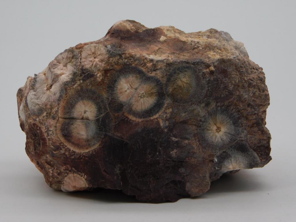 RHYOLITE ROCK STONE LAPIDARY SPECIMEN: RHYOLITE ROCK STONE LAPIDARY SPECIMEN
