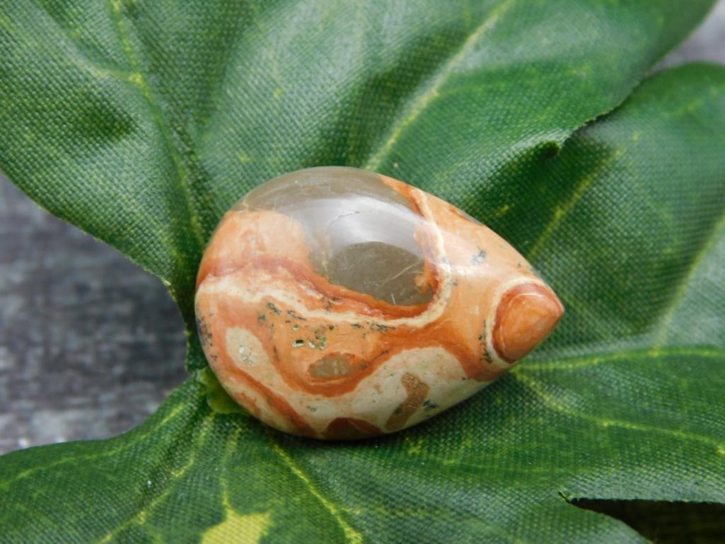 FOSSIL STONE CABOCHON ROCK STONE LAPIDARY SPECIMEN (1 of 2)