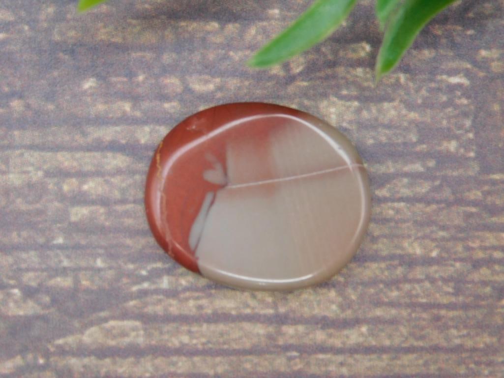 NOREENA JASPER CABOCHON ROCK STONE LAPIDARY SPECIMEN: NOREENA JASPER CABOCHON ROCK STONE LAPIDARY SPECIMEN