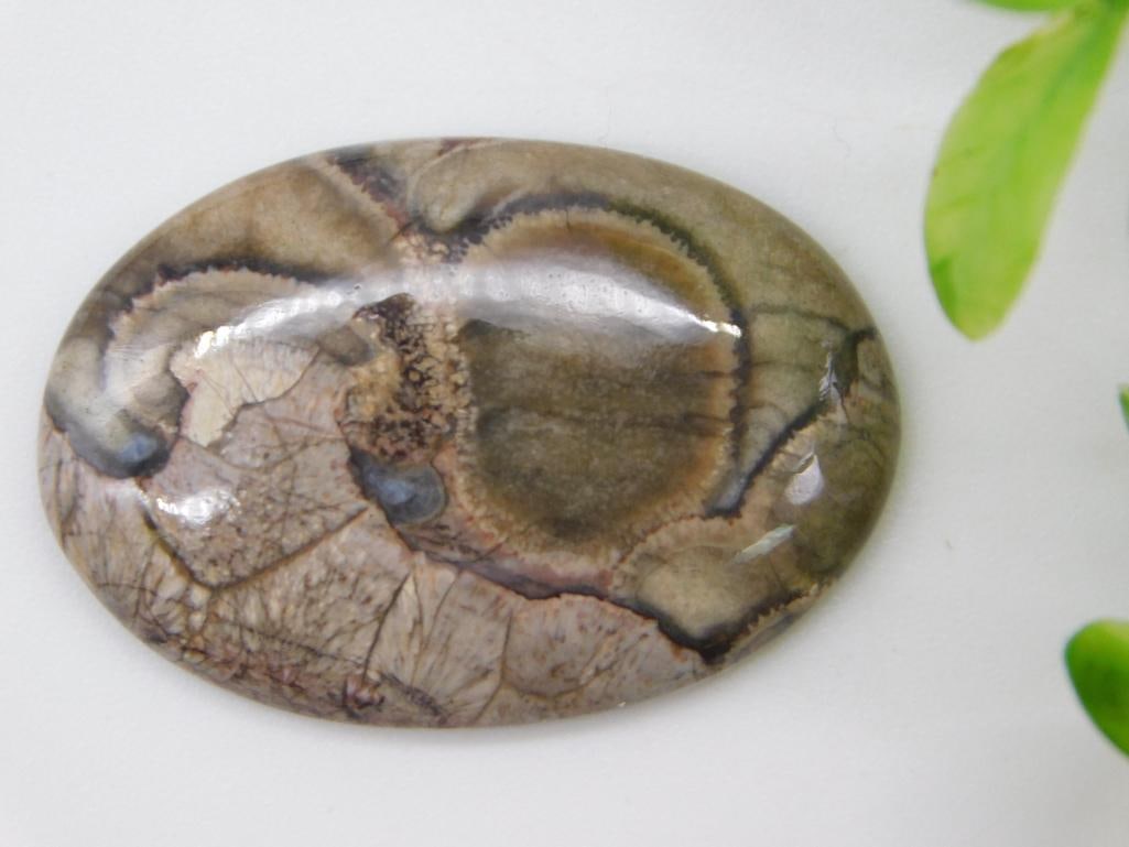 RHYOLITE CABOCHON ROCK STONE LAPIDARY SPECIMEN: RHYOLITE CABOCHON ROCK STONE LAPIDARY SPECIMEN