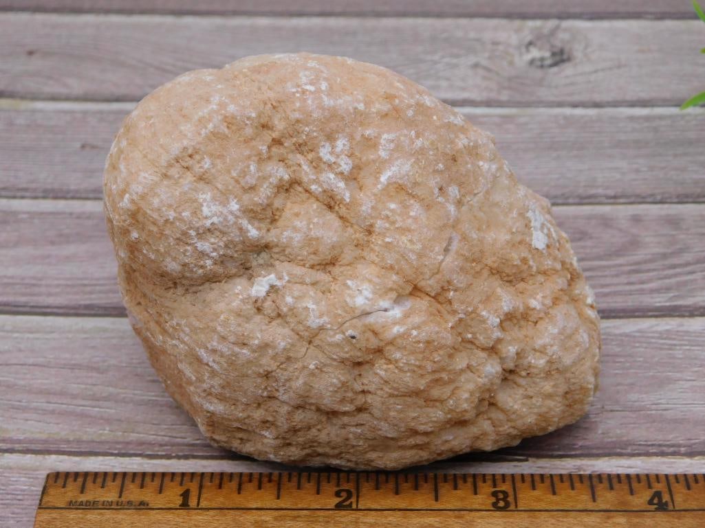 GEODE ROCK STONE LAPIDARY SPECIMEN - 2