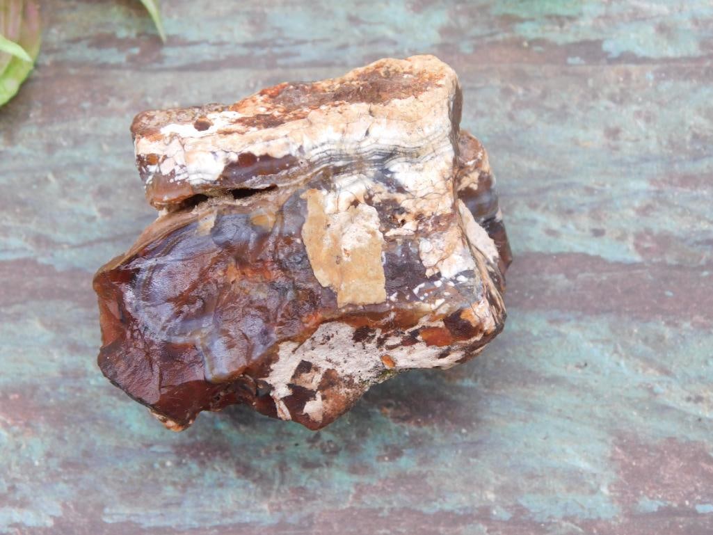 ROCK STONE LAPIDARY SPECIMEN (1 of 2)
