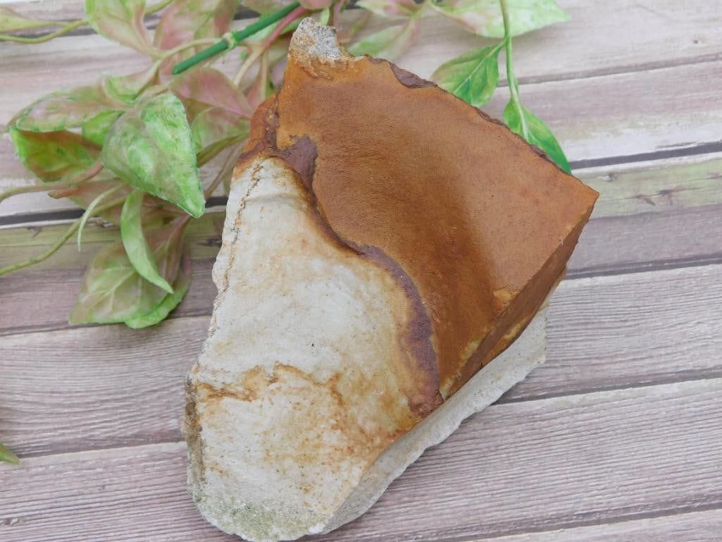 JASPER ROCK STONE LAPIDARY SPECIMEN: JASPER ROCK STONE LAPIDARY SPECIMEN