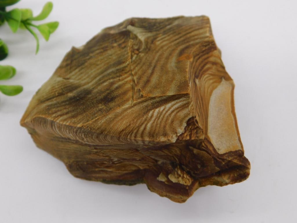 JASPER ROCK STONE LAPIDARY SPECIMEN (1 of 2)