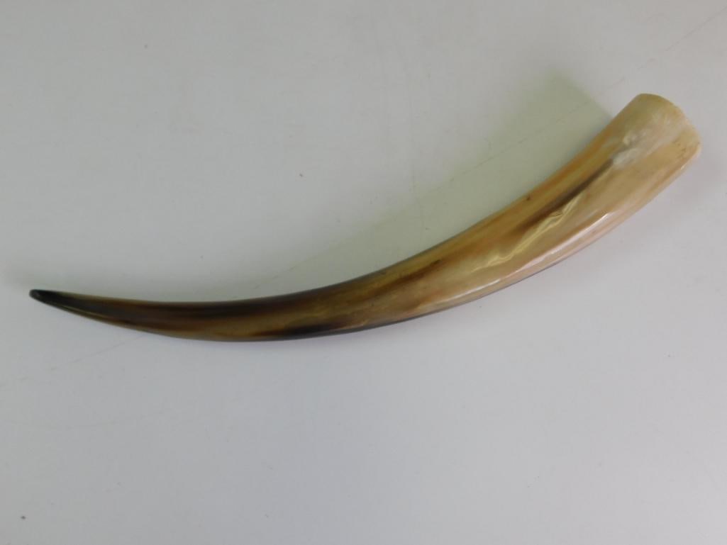 POWDER HORN VINTAGE ANTIQUE TAXIDERMY: POWDER HORN VINTAGE ANTIQUE TAXIDERMY