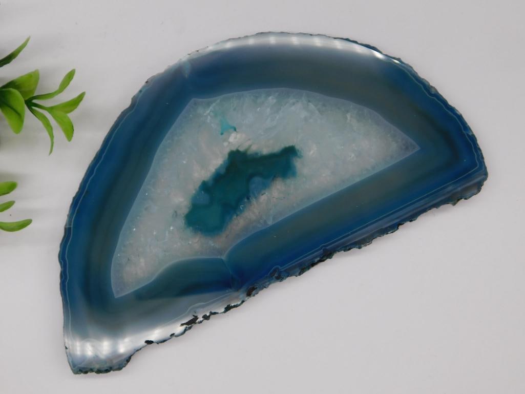 AGATE SLICE ROCK STONE LAPIDARY SPECIMEN: AGATE SLICE ROCK STONE LAPIDARY SPECIMEN
