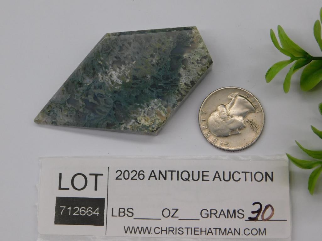 MOSS PLUME AGATE ROCK STONE LAPIDARY SPECIMEN - 2