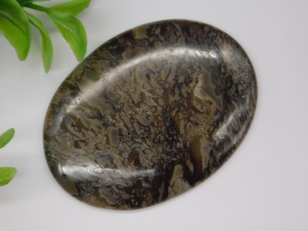 DINOSAUR BONE CABOCHON ROCK STONE LAPIDARY SPECIMEN: DINOSAUR BONE CABOCHON ROCK STONE LAPIDARY SPECIMEN