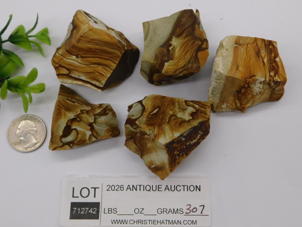 JASPER ROCK STONE LAPIDARY SPECIMEN - 2