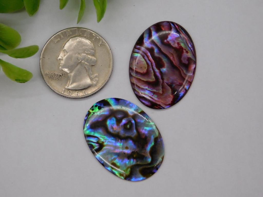 ABALONE CABOCHONS ROCK STONE LAPIDARY SPECIMEN - 2
