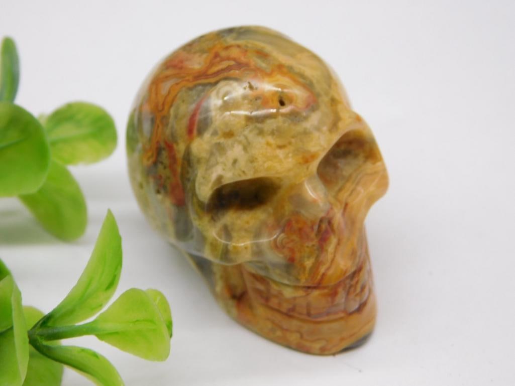 CRAZY LACE CARVED SKULL ROCK STONE LAPIDARY SPECIMEN: CRAZY LACE CARVED SKULL ROCK STONE LAPIDARY SPECIMEN