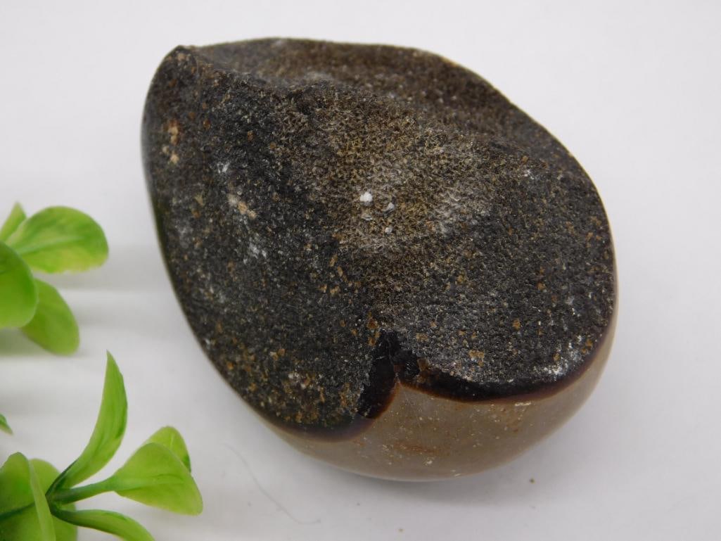 SEPTARIAN DRAGON EGG ROCK STONE LAPIDARY SPECIMEN: SEPTARIAN DRAGON EGG ROCK STONE LAPIDARY SPECIMEN