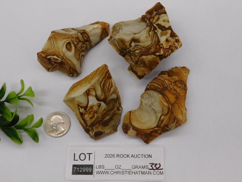 JASPER ROCK STONE LAPIDARY SPECIMEN - 2