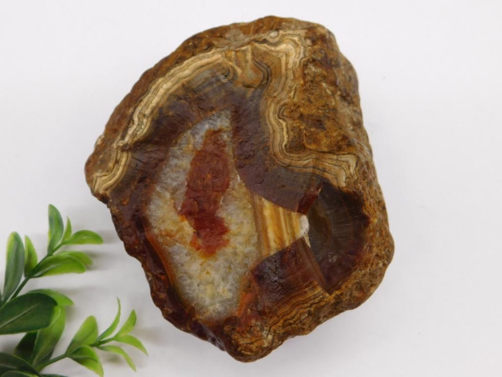 1 POUND BRAZILIAN AGATE ROCK STONE LAPIDARY SPECIMEN: 1 POUND BRAZILIAN AGATE ROCK STONE LAPIDARY SPECIMEN