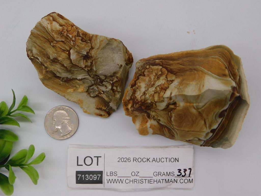 JASPER ROCK STONE LAPIDARY SPECIMEN - 3