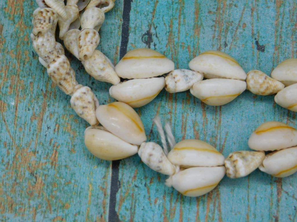 SHELL NECKLACE ROCK STONE LAPIDARY SPECIMEN - 3