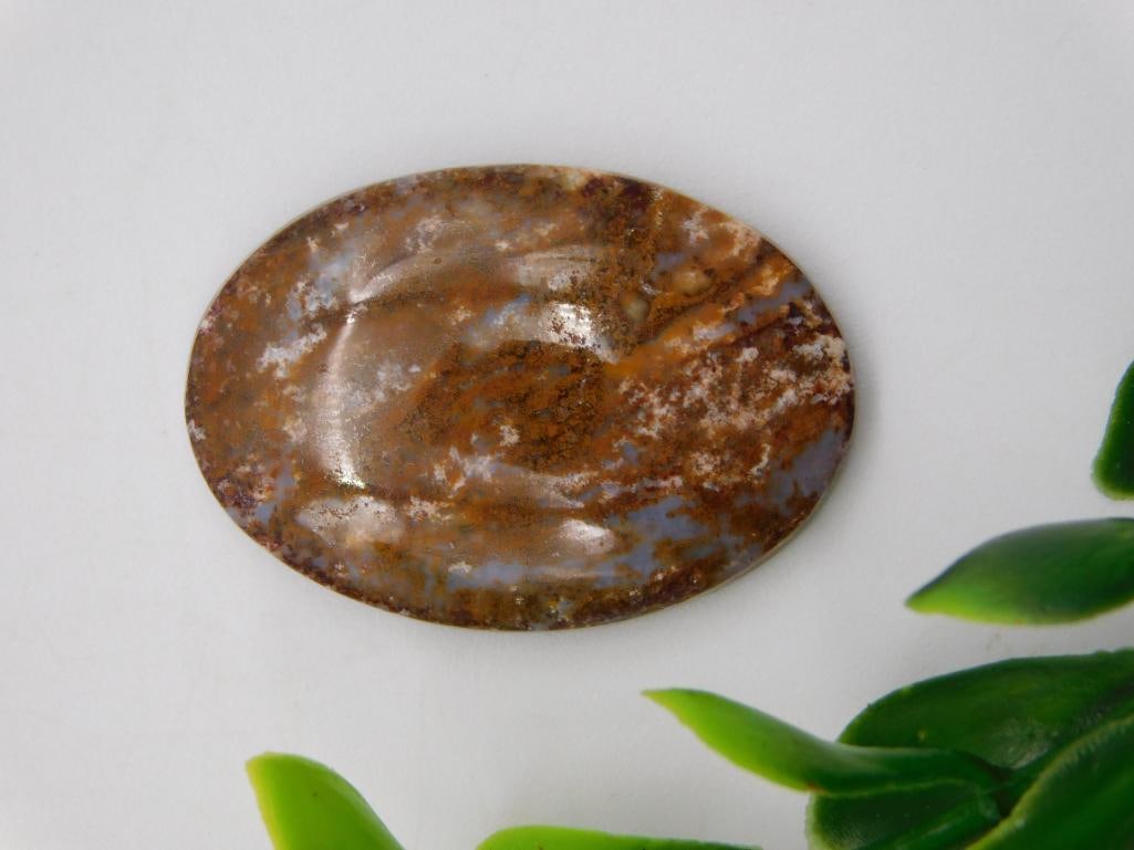 CABOCHON ROCK STONE LAPIDARY SPECIMEN: CABOCHON ROCK STONE LAPIDARY SPECIMEN