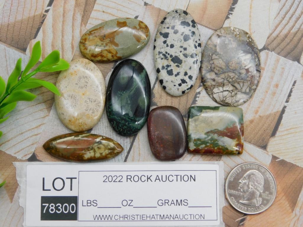 CABOCHONS ROCK STONE LAPIDARY SPECIMEN - 2