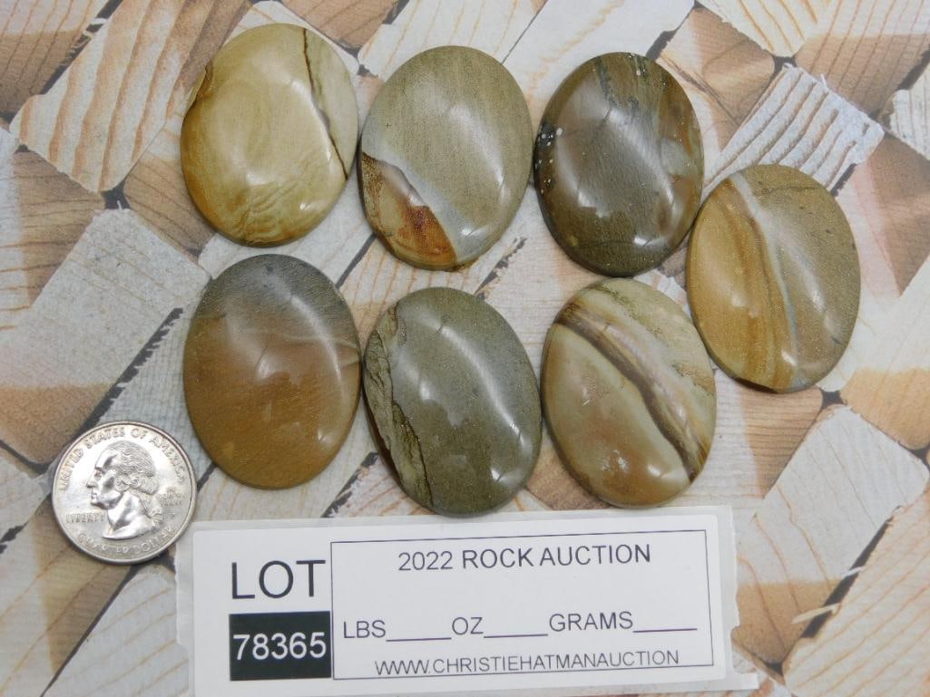JASPER CABOCHONS ROCK STONE LAPIDARY SPECIMEN - 2