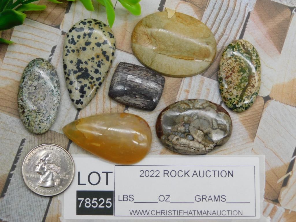 CABOCHONS ROCK STONE LAPIDARY SPECIMEN - 2