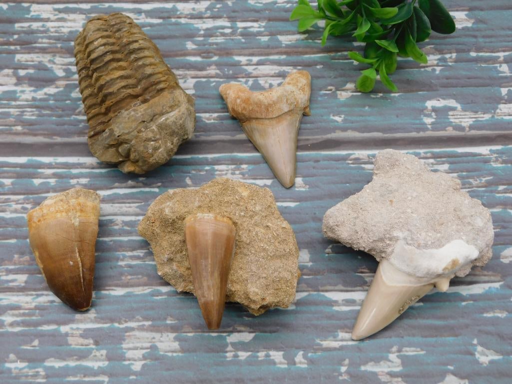 MIXED LOT ROCK STONE LAPIDARY SPECIMEN: MIXED LOT ROCK STONE LAPIDARY SPECIMEN