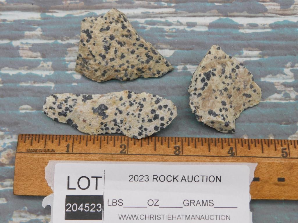 DALMATION JASPER ROCK STONE LAPIDARY SPECIMEN - 2