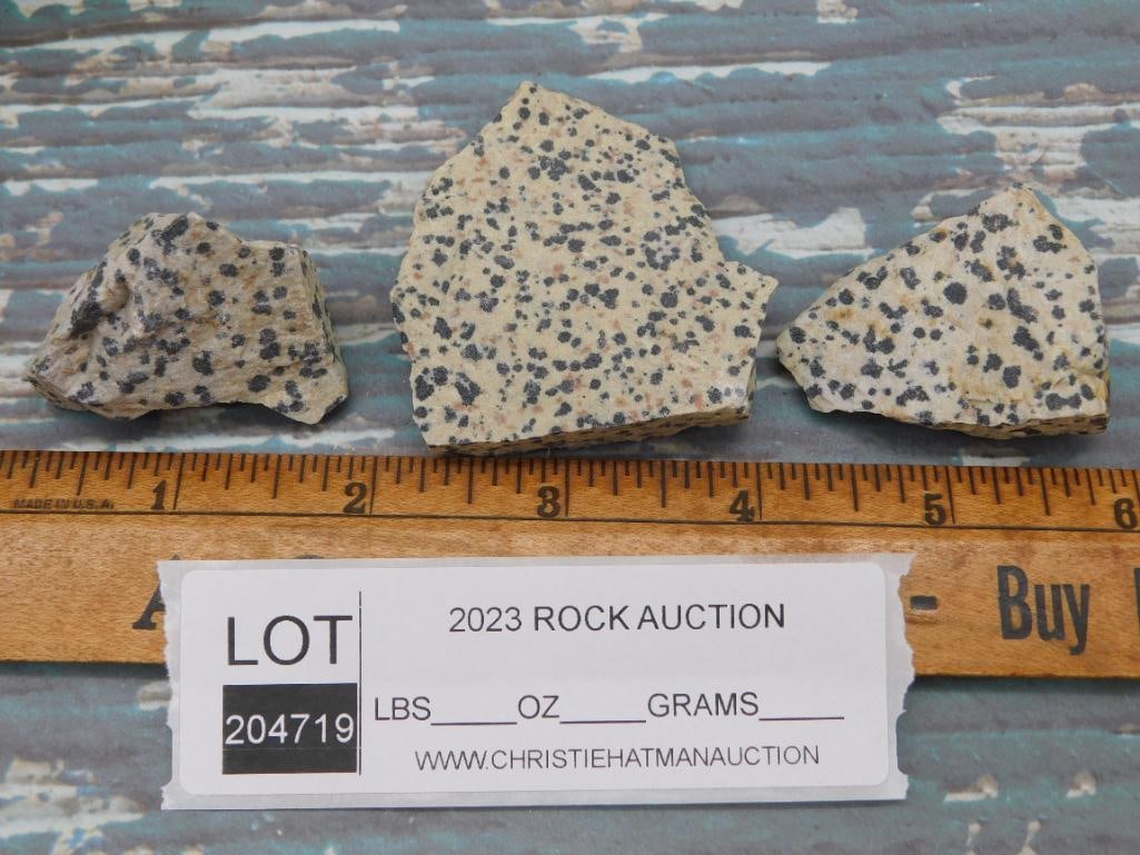 DALMATION JASPER ROCK STONE LAPIDARY SPECIMEN - 2