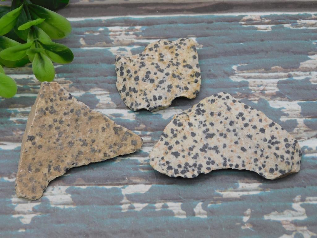 DALMATION JASPER ROCK STONE LAPIDARY SPECIMEN: DALMATION JASPER ROCK STONE LAPIDARY SPECIMEN