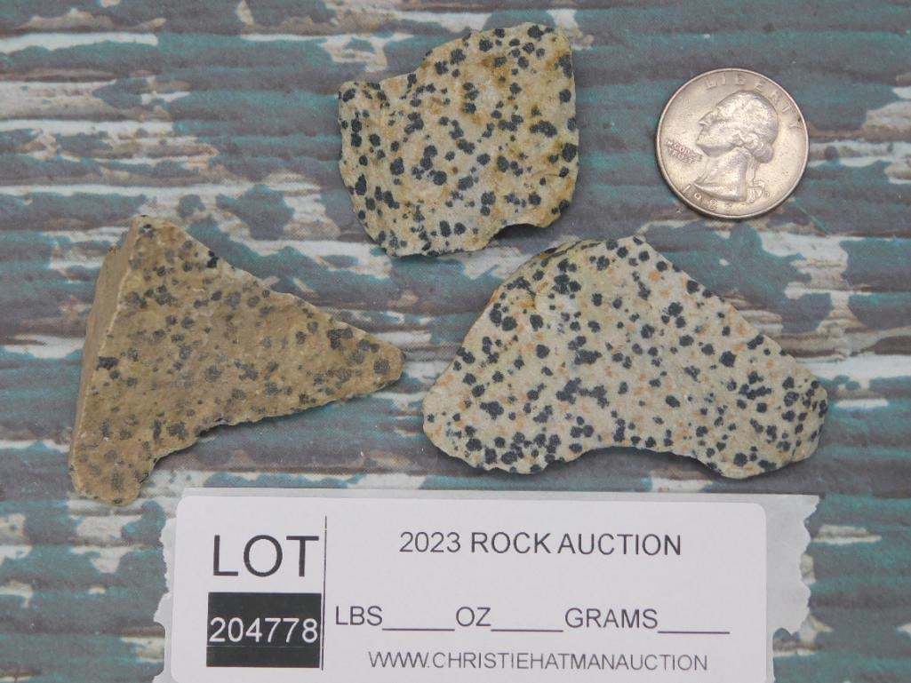 DALMATION JASPER ROCK STONE LAPIDARY SPECIMEN - 2