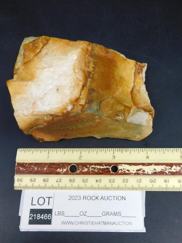 JASPER ROCK STONE LAPIDARY SPECIMEN - 2