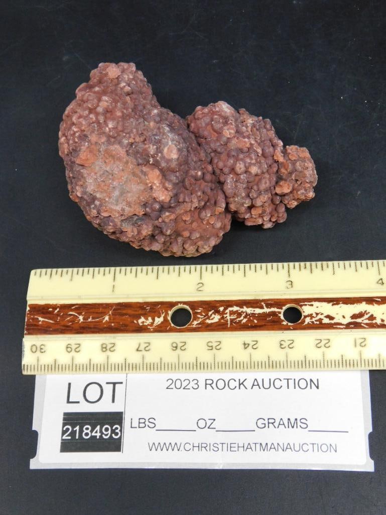 COPROLITE ROCK STONE LAPIDARY SPECIMEN - 2