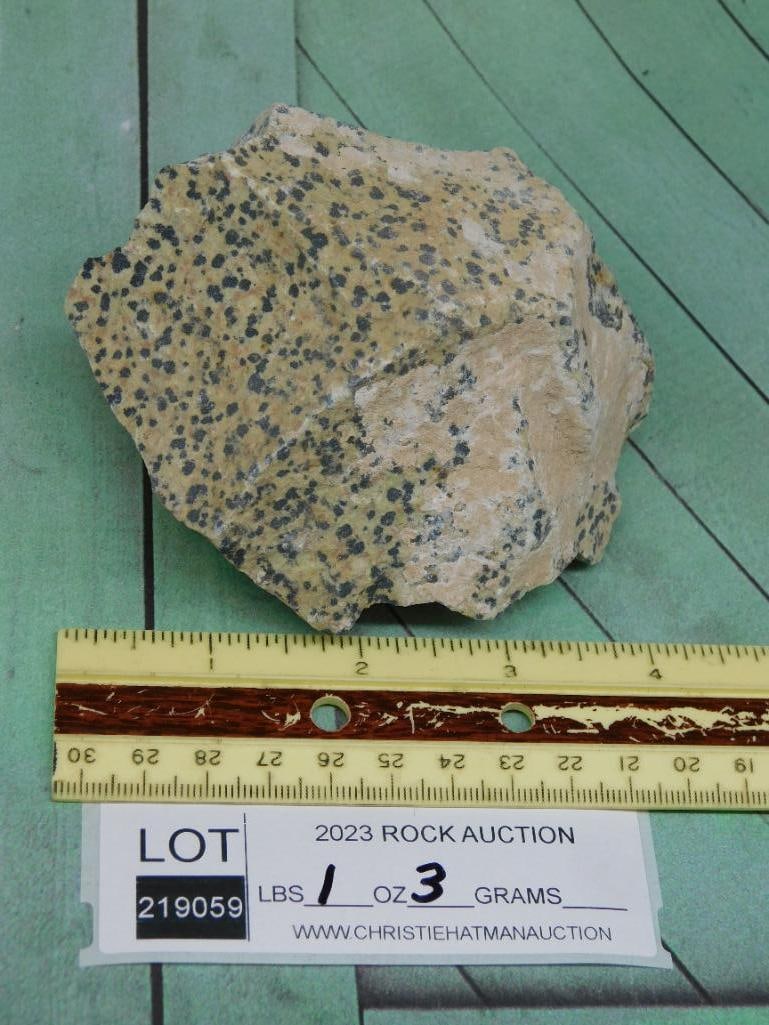 DALMATION JASPER ROCK STONE LAPIDARY SPECIMEN - 2