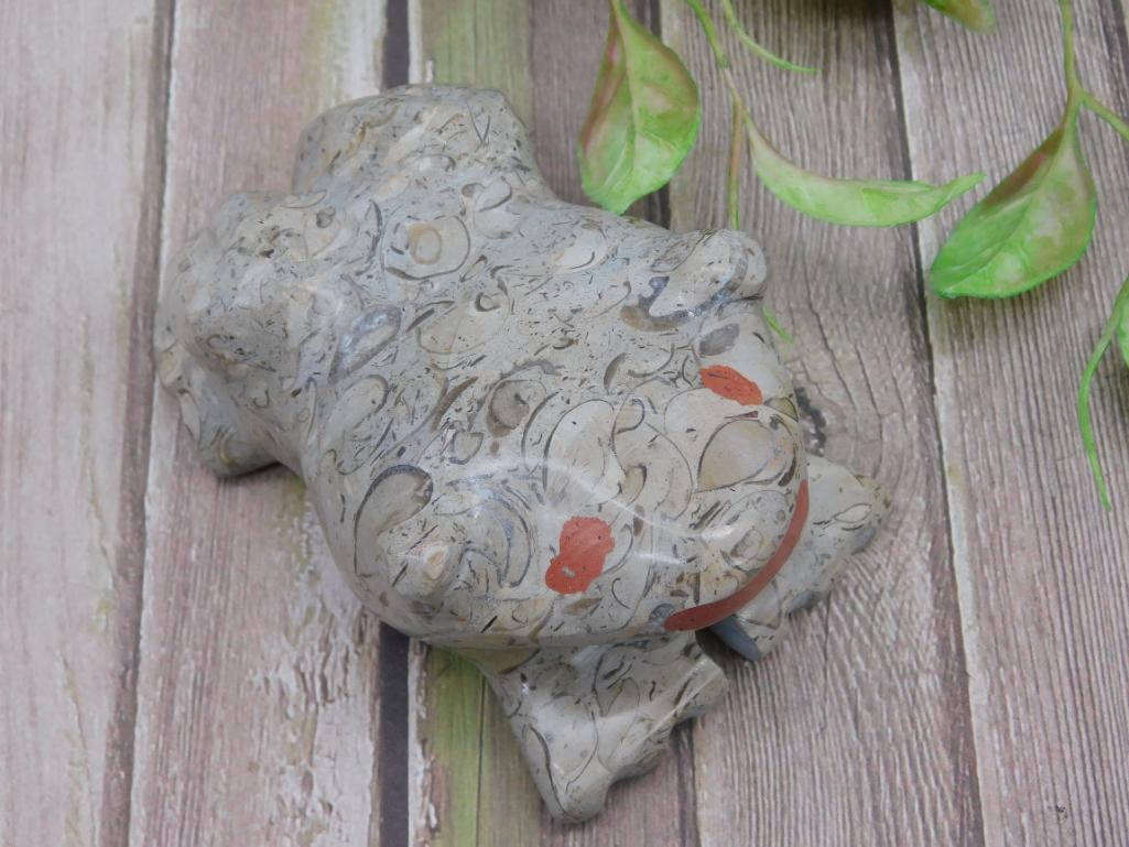 STONE FROG ROCK STONE LAPIDARY SPECIMEN: STONE FROG ROCK STONE LAPIDARY SPECIMEN