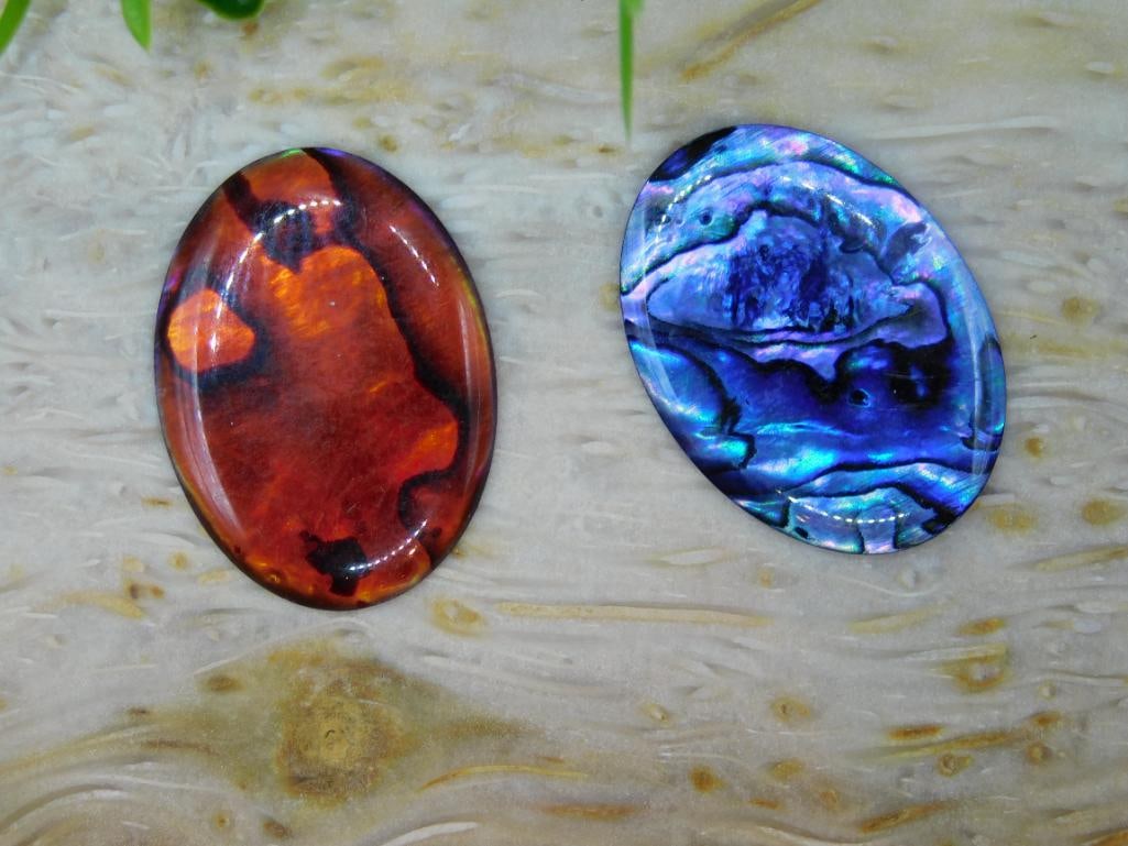 ABALONE CABOCHONS ROCK STONE LAPIDARY SPECIMEN - 2