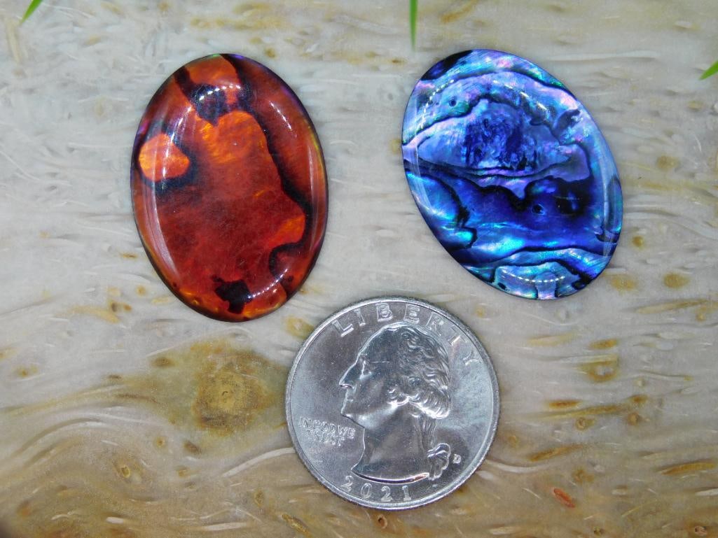 ABALONE CABOCHONS ROCK STONE LAPIDARY SPECIMEN - 3